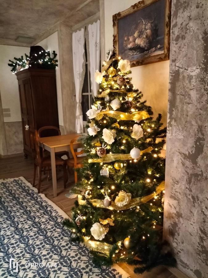 B&B Sasso Di Rocca Gaggio Montano Εξωτερικό φωτογραφία